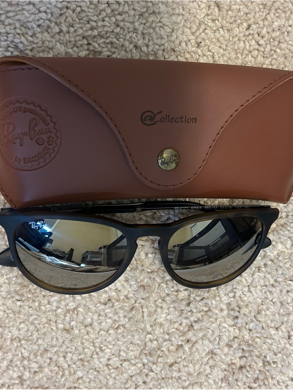 Ray-Ban Matte Frame Sunglasses with Brown Case